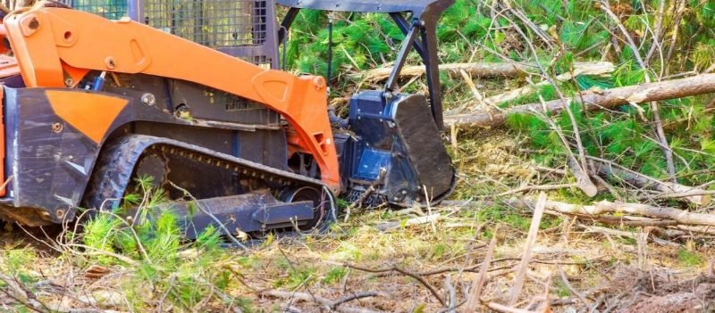 Stump Grinding services in Richmond, Virginia