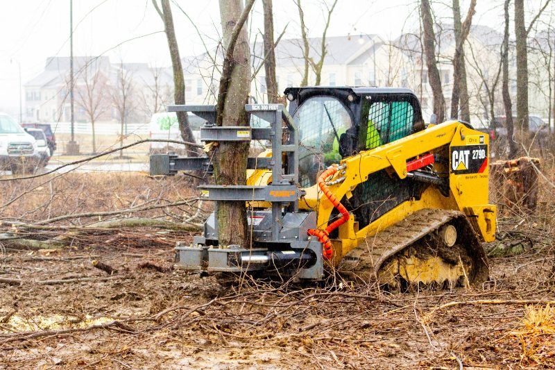 Tree Removal services in Richmond, Virginia